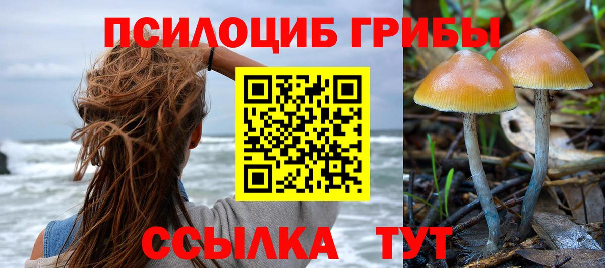 Псилоцибиновые грибы GOLDEN TEACHER  Вход с VPN  Красноуфимск 